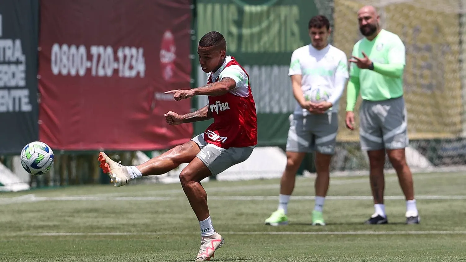 Os jogadores que ainda precisam convencer Abel no Palmeiras e podem passar por &lsquo;vestibular&rsquo; no Paulista