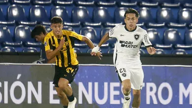 Botafogo roda elenco, faz partida segura e avan&ccedil;a na Copa Sul-Americana