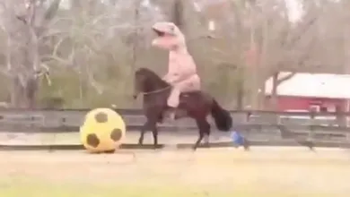Eu juro: esse &eacute; Asprilla ensinando seu cavalo a jogar futebol vestido de dinossauro