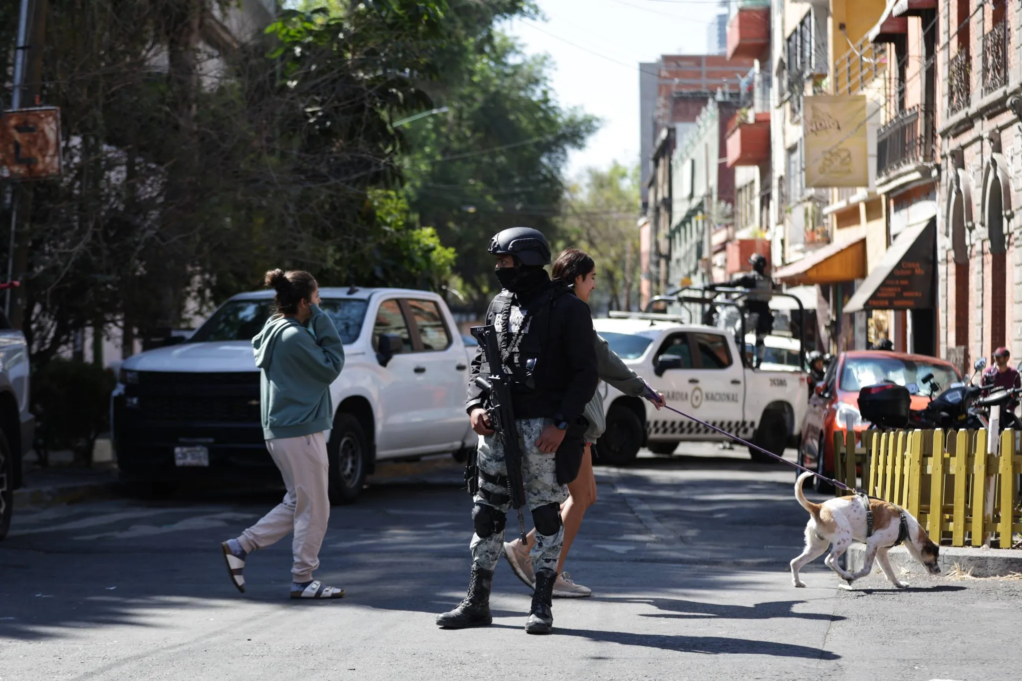 Conflitos no M&eacute;xico