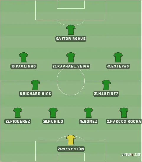 Campinho Palmeiras Brasileir&atilde;o 2025
