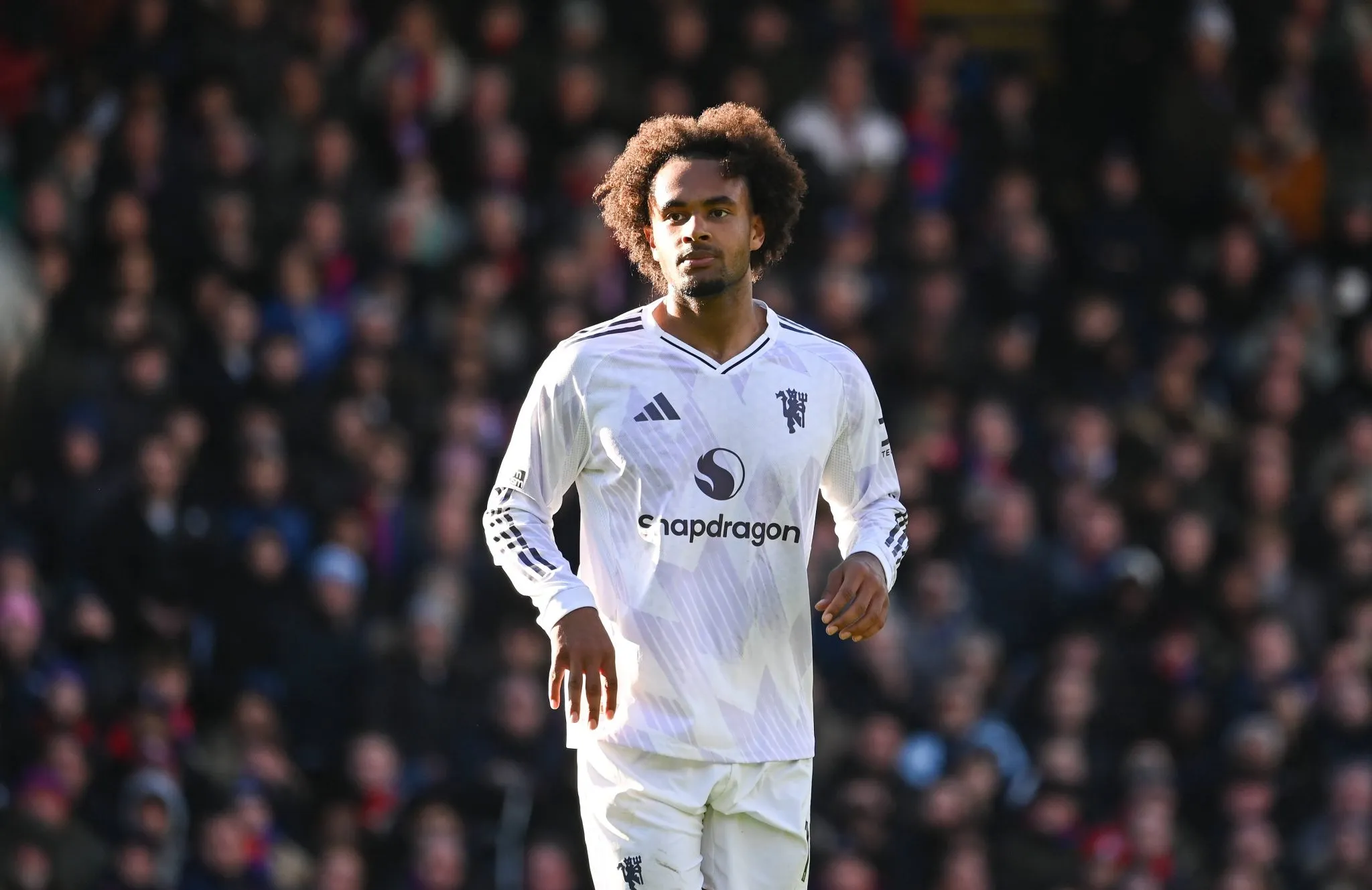 Joshua Zirkzee durante partida do Manchester United (Foto: IMAGO / Focus Images)