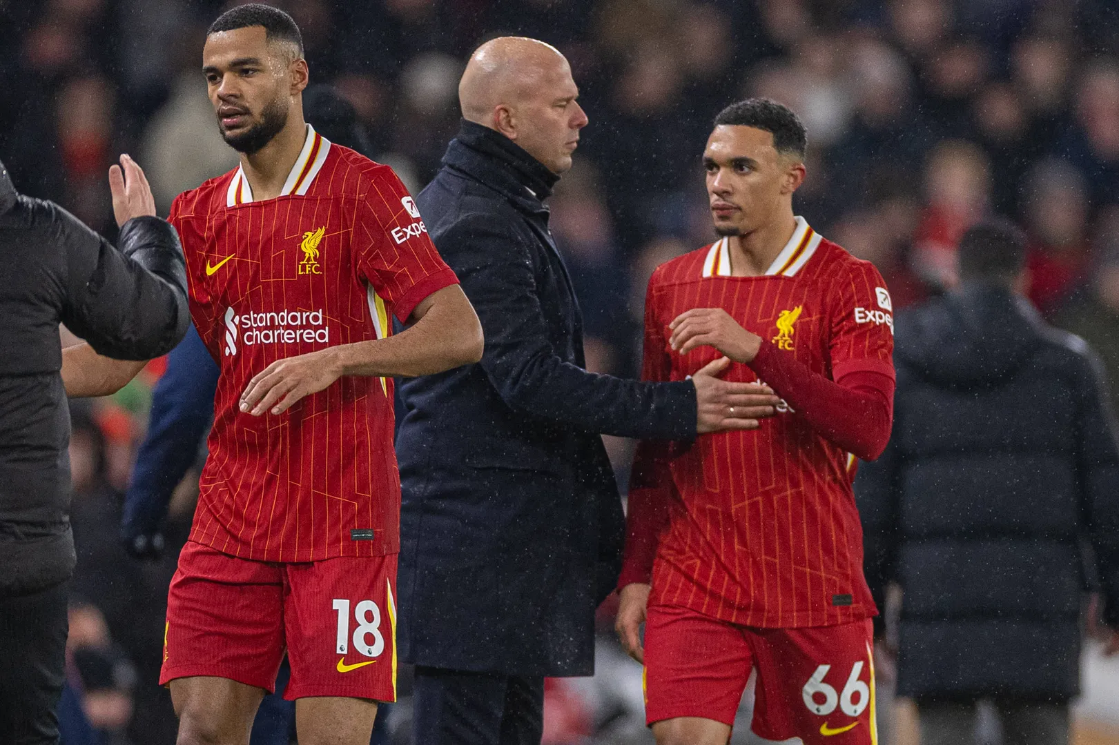 Gakpo Alexander Arnold Liverpool