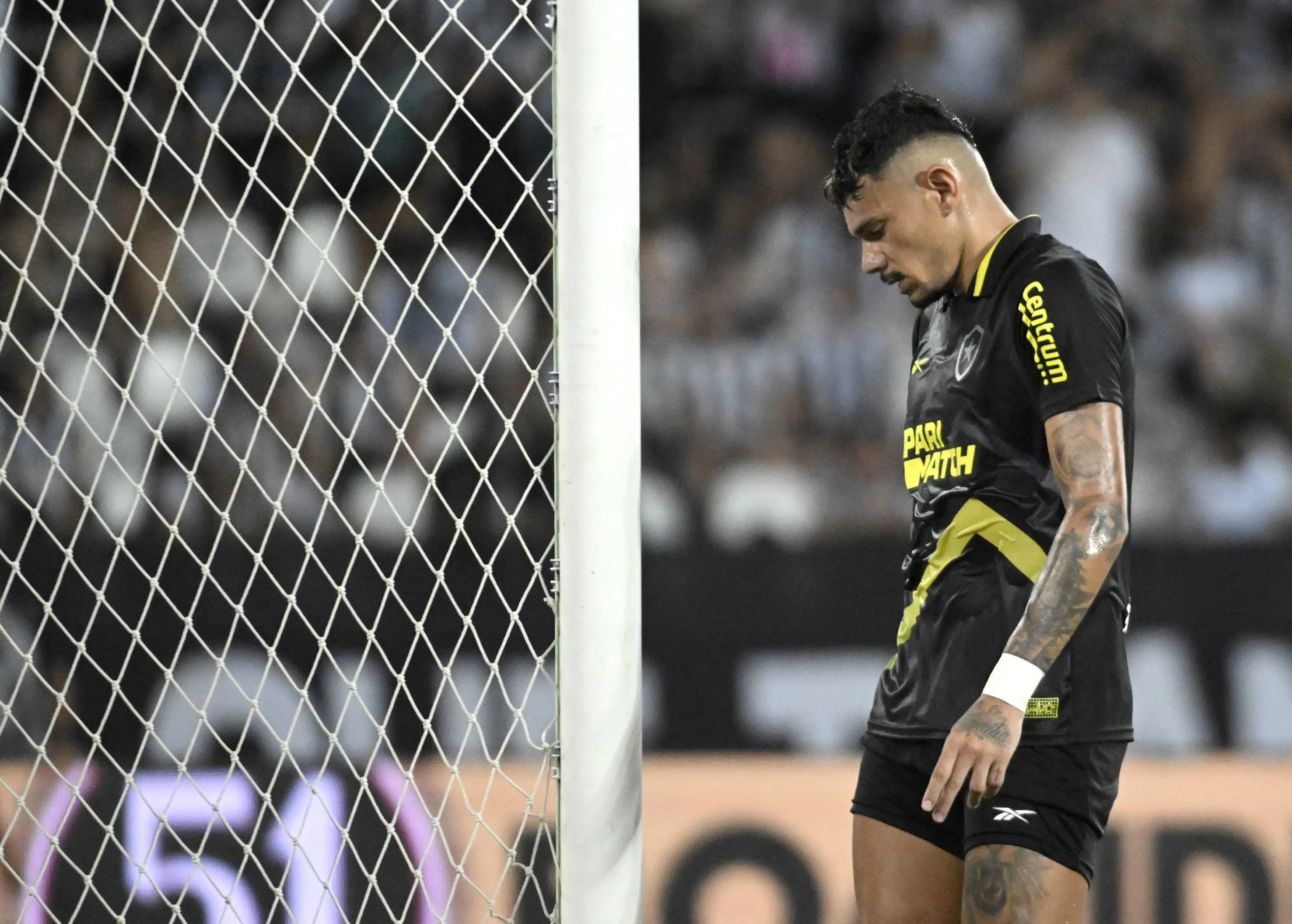 Cinco motivos que explicam o Botafogo ter perdido o t&iacute;tulo do Campeonato Brasileiro
