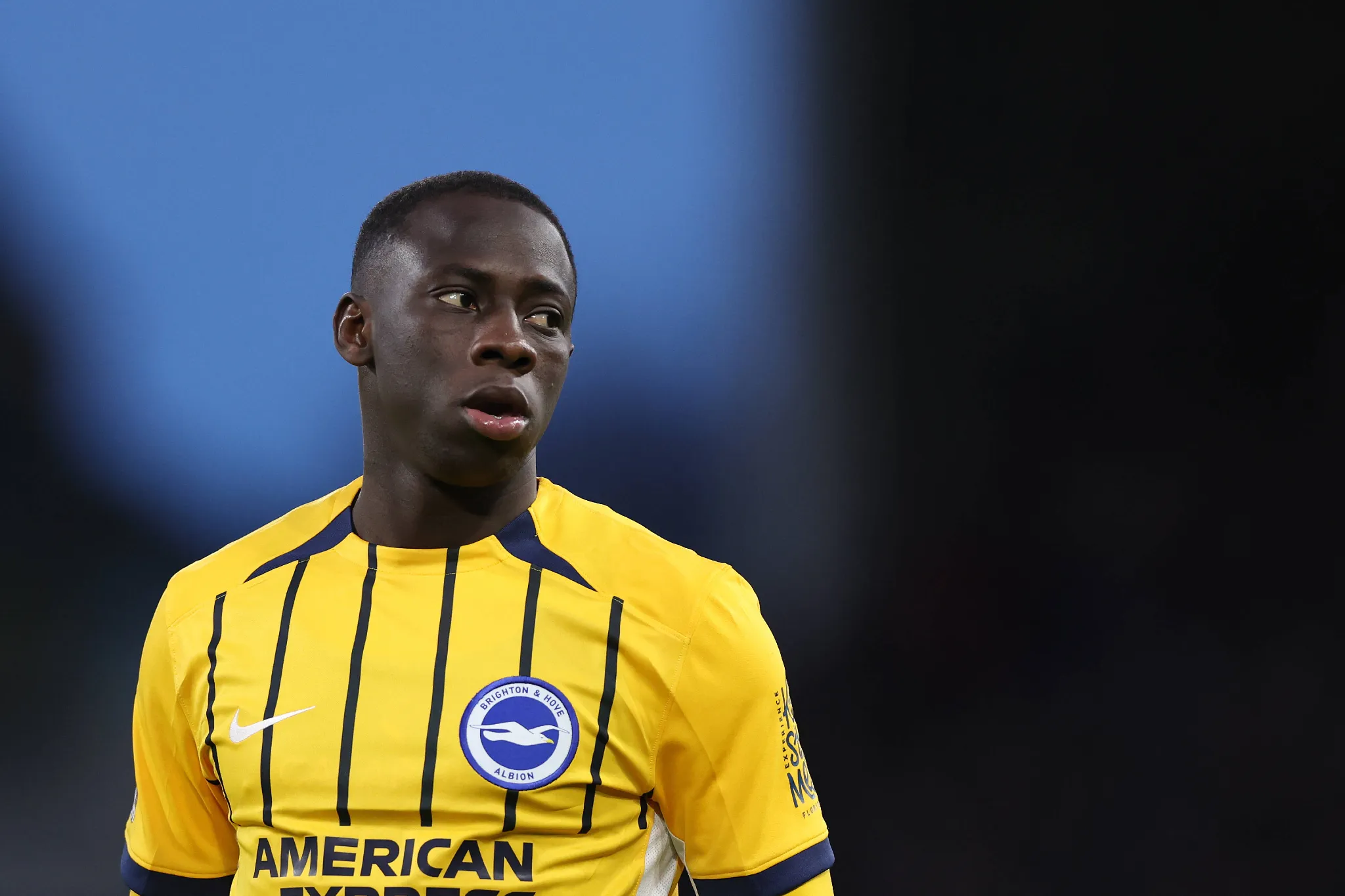 Yankuba Minteh Brighton