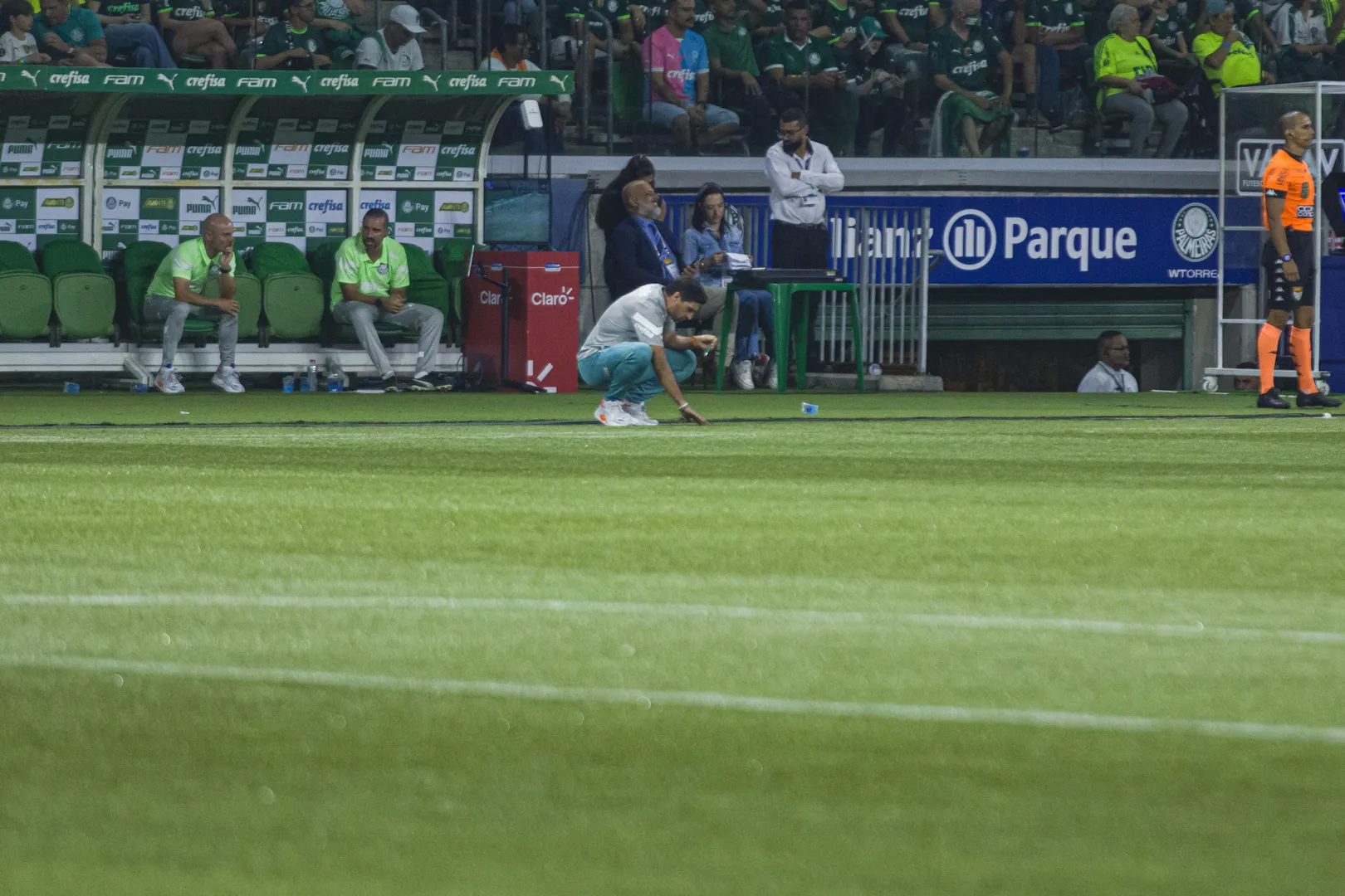 Ap&oacute;s vistoria no gramado, Federa&ccedil;&atilde;o Paulista interdita Allianz Parque