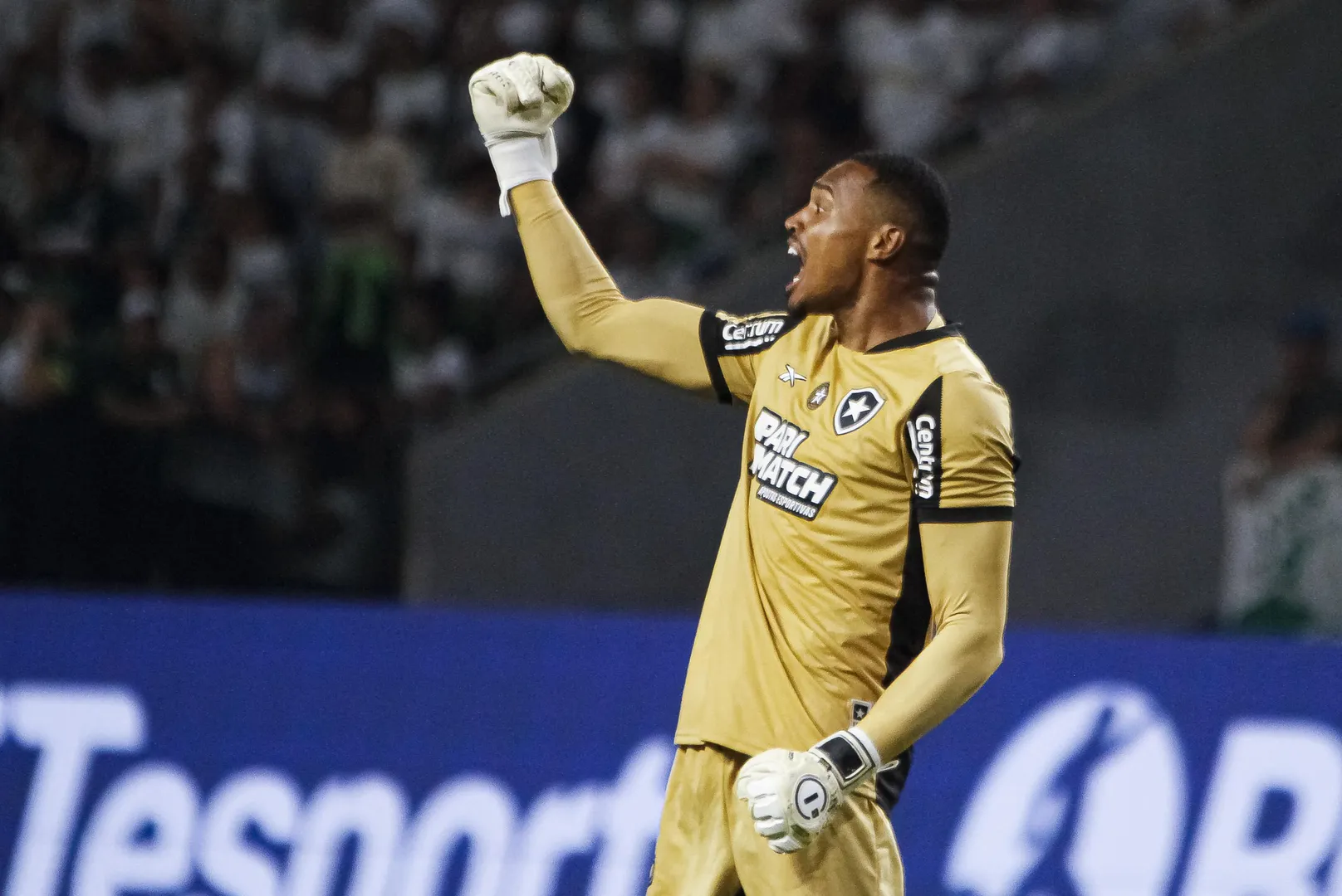 SAO PAULO, SP, 26.11.2024-PALMEIRAS (SP) X BOTAFOGO (RJ)
