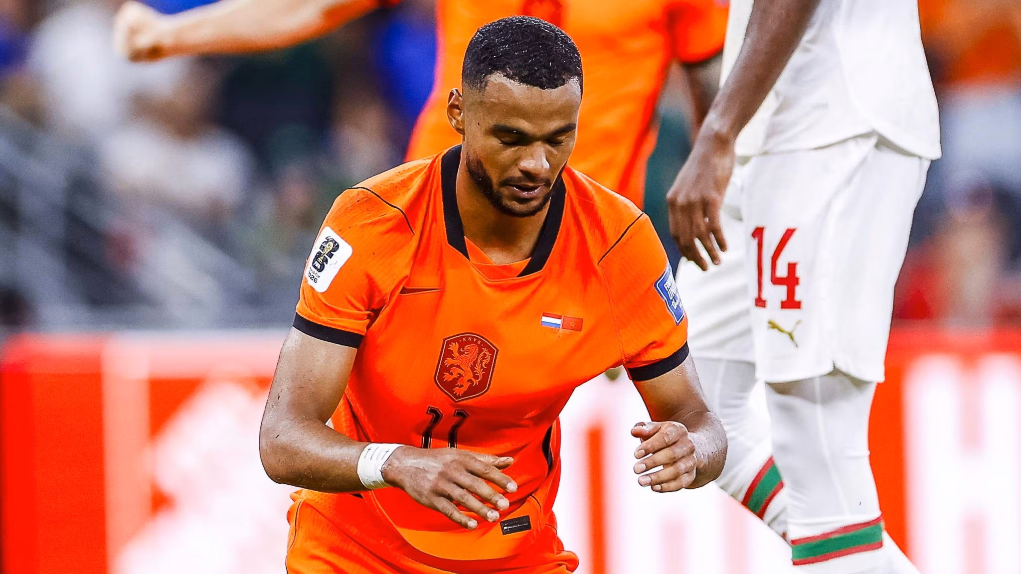 Gakpo chora ap&oacute;s marcar gol neerland&ecirc;s contra o Marrocos (Foto: IMAGO / Pro Shots)