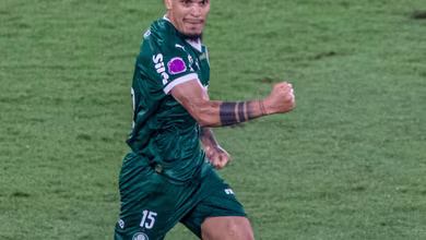 Gol de G&oacute;mez contra o Flamengo &eacute; mais importante para o Palmeiras do que parece