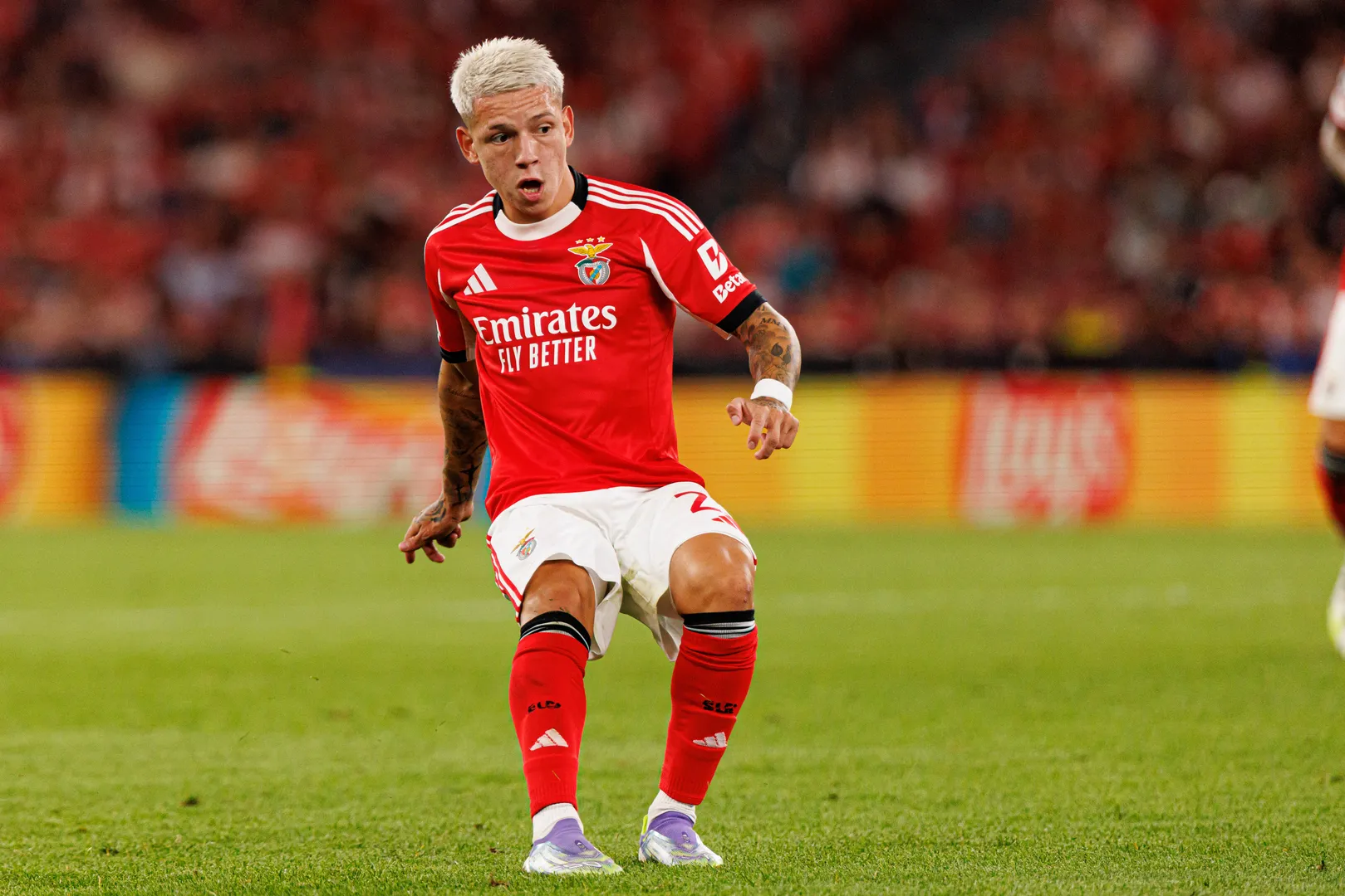 Gianluca Prestianni em partida pelo Benfica. 