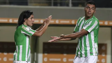 Verdolagas prolongam seu reinado na Col&ocirc;mbia