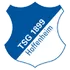 Hoffenheim escudo