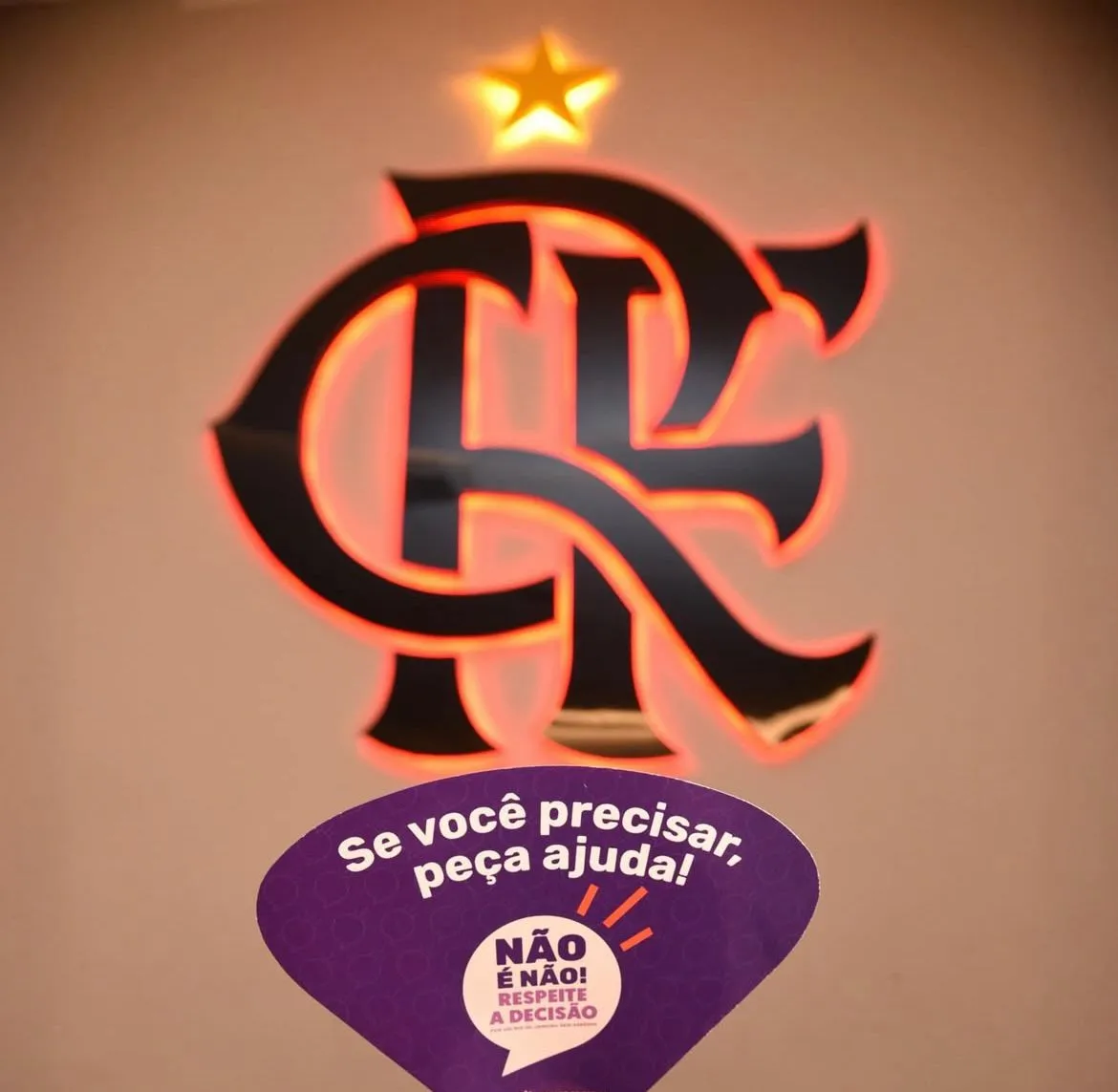 Secretaria da Mulher do Rio de Janeiro e Bancada Feminina do Conselho Deliberativo do Flamengo em campanha debater viol&ecirc;ncia contra as mulheres (Foto: Reprodu&ccedil;&atilde;o/Instagram)