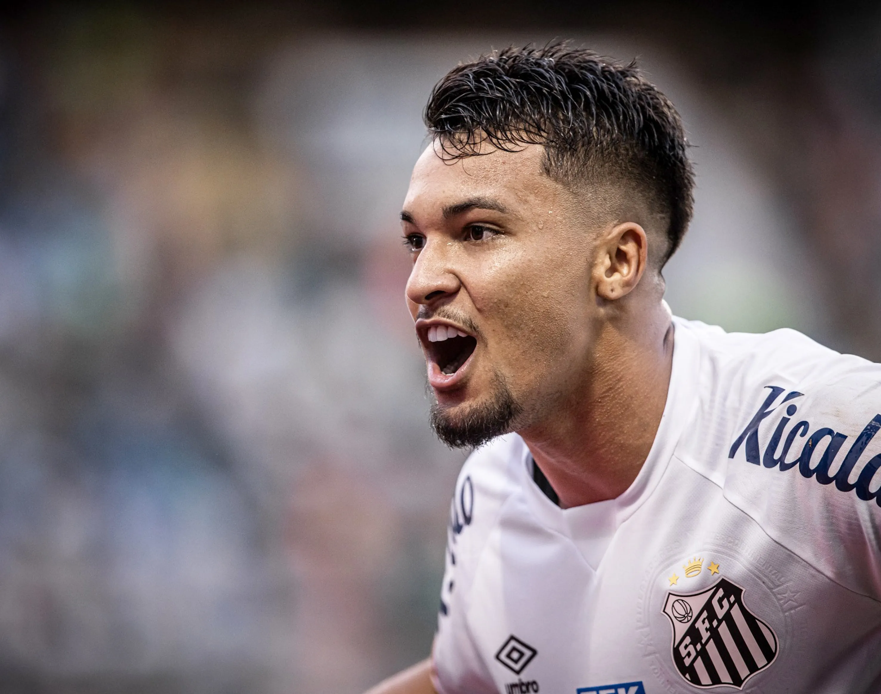 Santos vence o Palmeiras ap&oacute;s quase 4 anos e sai da zona de rebaixamento