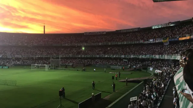 couto1