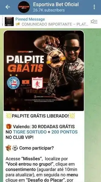 Captura de tela do grupo no Telegram da Esportivabet