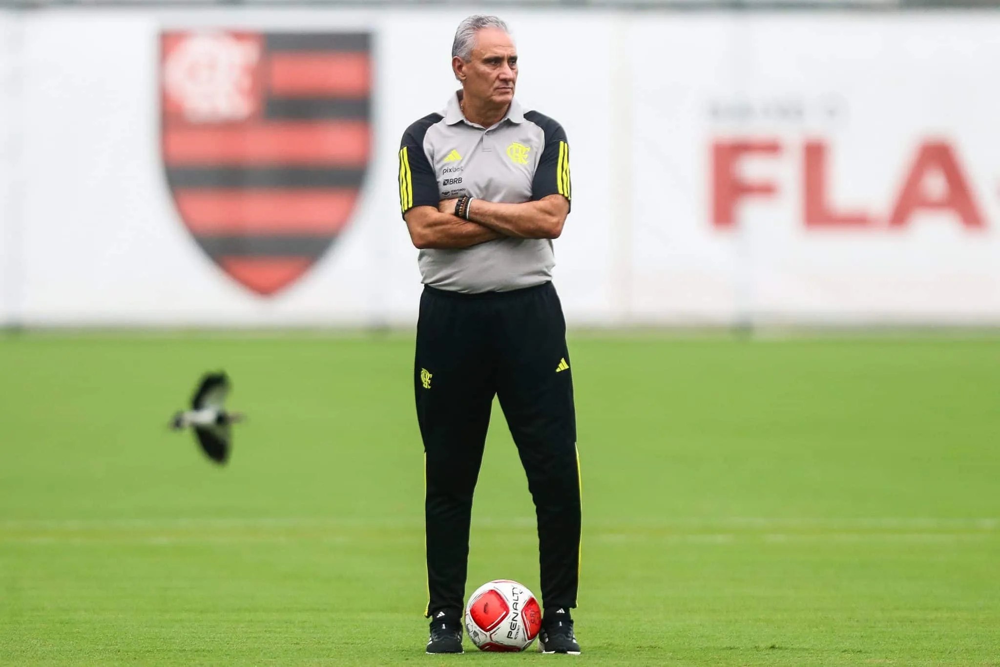Golias? Flamengo chega &agrave; final de maior disparidade do s&eacute;culo no Carioca com confian&ccedil;a