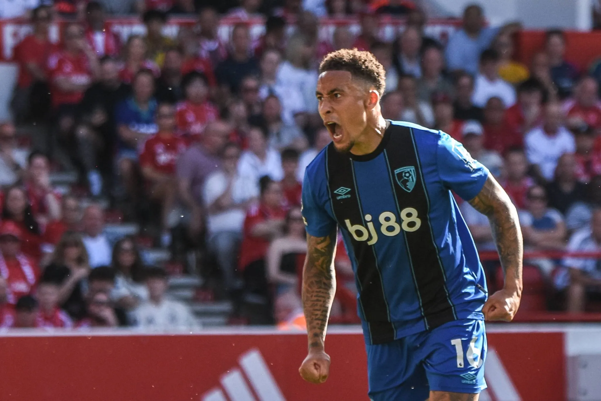 Tavernier comemora gol do Bournemouth