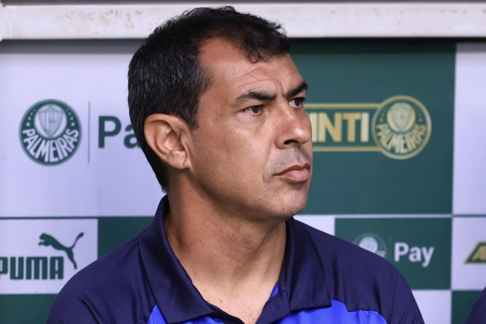 Surpreso e orgulhoso, Carille n&atilde;o prev&ecirc; vida f&aacute;cil para o Santos na S&eacute;rie B