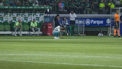 Natiruts vai repetir Taylor? Palmeiras e WTorre avaliam como seguro o gramado &lsquo;feio&rsquo; do Allianz Parque