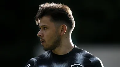 Botafogo afasta Romero e Hern&aacute;ndez por indisciplina, e reintegra volante ao elenco