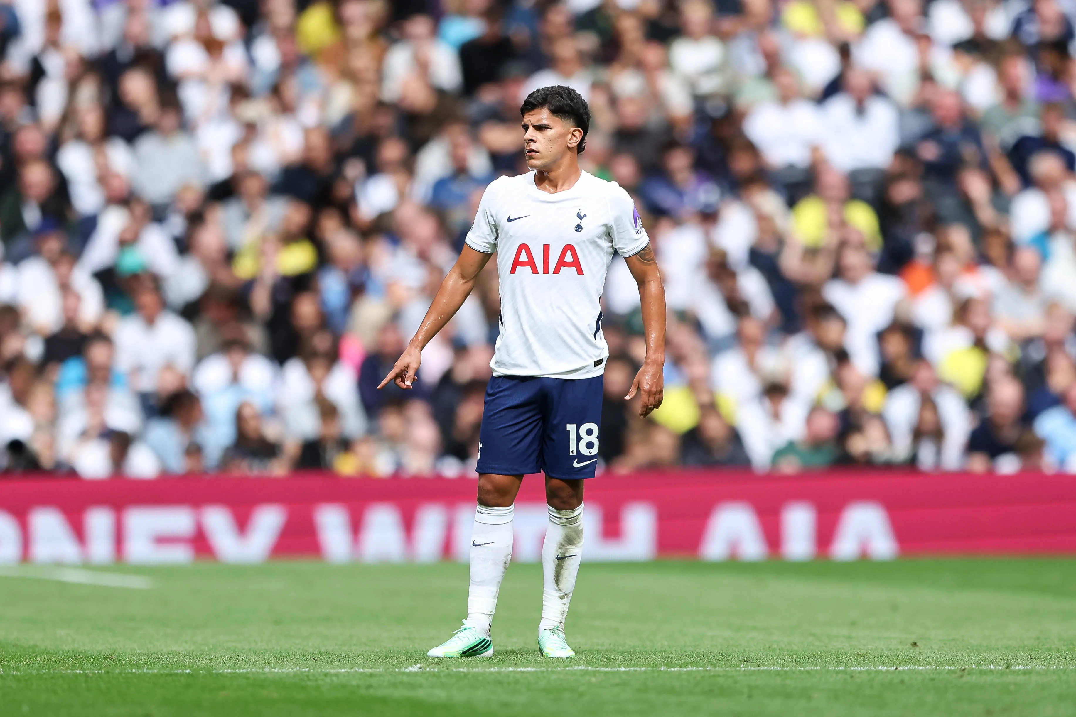 Mateus Fernandes durante Tottenham x Aston Villa
