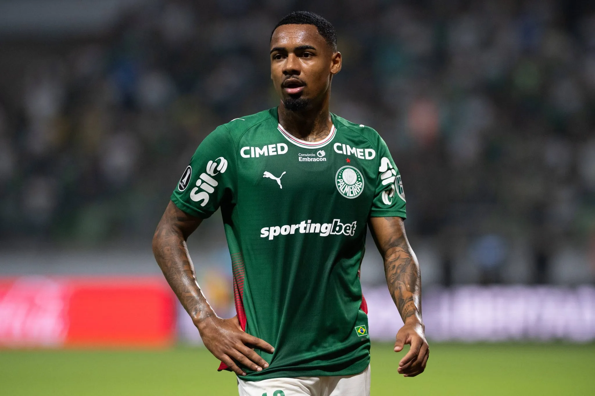 Allan a servi&ccedil;o do Palmeiras (Foto: Imago/Sports Press Photo)