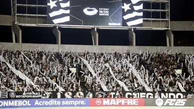 Projeto tenta manter jogos do Botafogo democr&aacute;ticos com distribui&ccedil;&atilde;o de ingressos