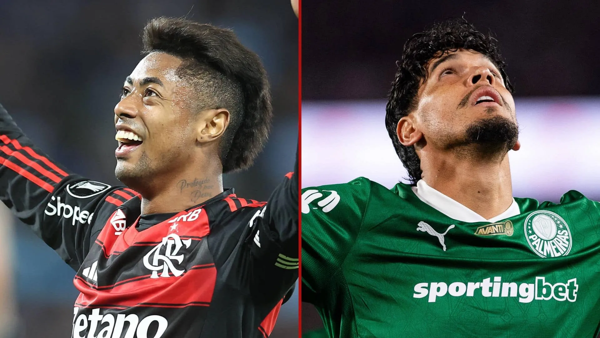 Flamengo e Palmeiras v&atilde;o fazer a final da Libertadores 2025