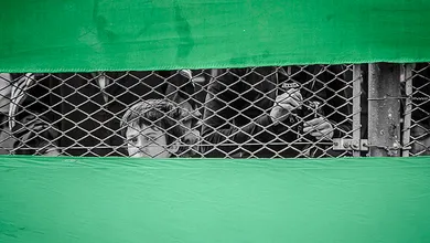 Impedimento e Trivela, agora, jogam juntos