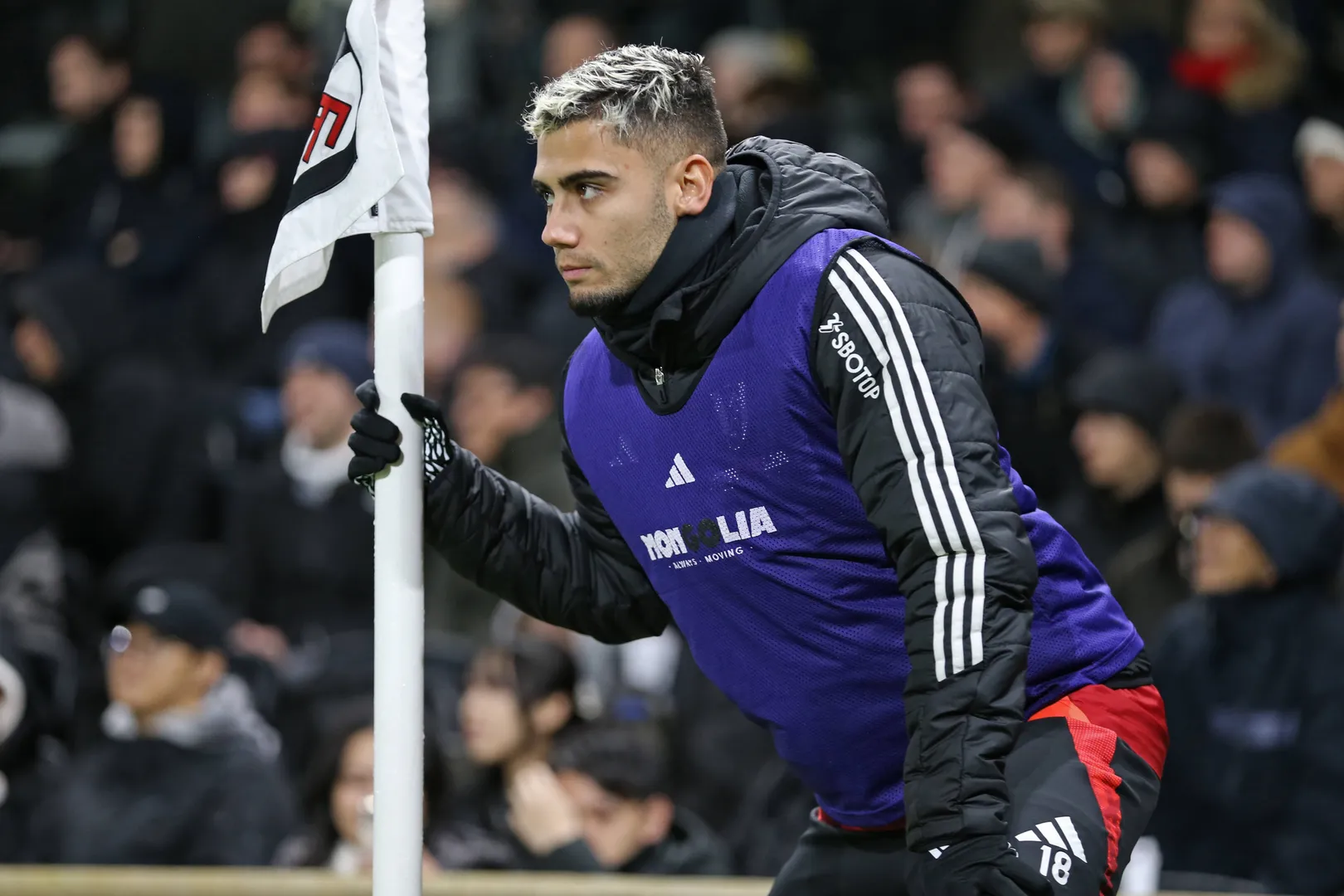 Andras Pereira Fulham