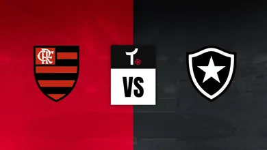 Flamengo x Botafogo Palpite &ndash; Dicas e not&iacute;cias (30/08)